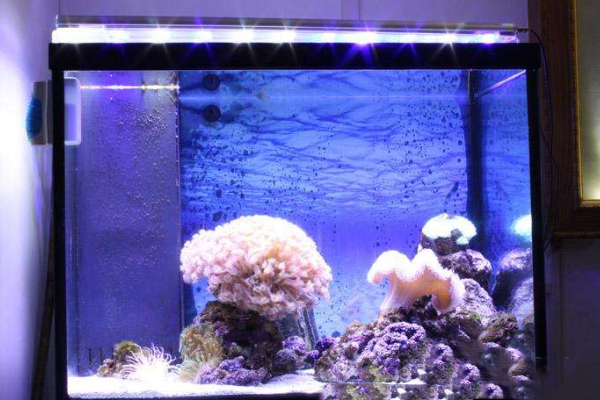 微信圖片_20220428134039.png 微信圖片_20220428134039.png